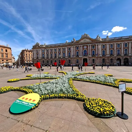En Hypercentre - Quartier Les Carmes Palais De Justice Apartamento Toulouse
